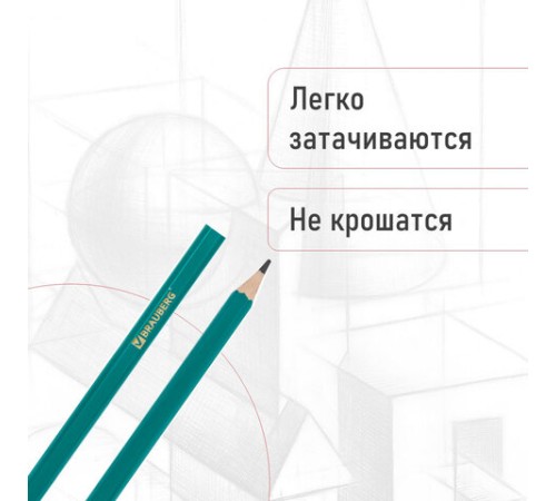 Карандаши чернографитные BRAUBERG НАБОР 12 шт., НВ, без резинки, пластиковый зеленый корпус, 180677