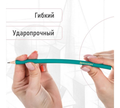 Карандаши чернографитные BRAUBERG НАБОР 12 шт., НВ, без резинки, пластиковый зеленый корпус, 180677
