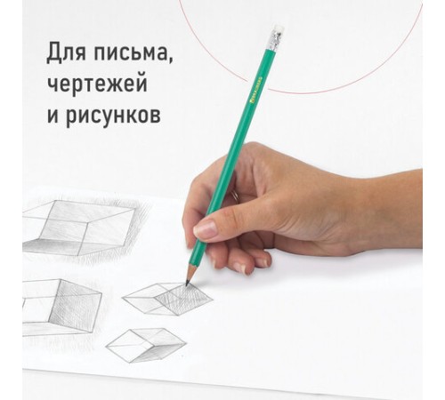 Карандаши чернографитные BRAUBERG НАБОР 12 шт., НВ, с резинкой, пластиковый зеленый корпус, 180678 Карандаши чернографитные BRAUBERG НАБОР 12 шт., НВ, с резинкой, пластиковый зеленый корпус, 180678