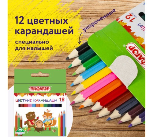 Карандаши цветные ПИФАГОР "МАЛЫШИ-КАРАНДАШИ", 12 цветов, укороченные, шестигранные, натуральное дерево, 181344 Карандаши цветные ПИФАГОР "МАЛЫШИ-КАРАНДАШИ", 12 цветов, укороченные, шестигранные, натуральное дерево, 181344