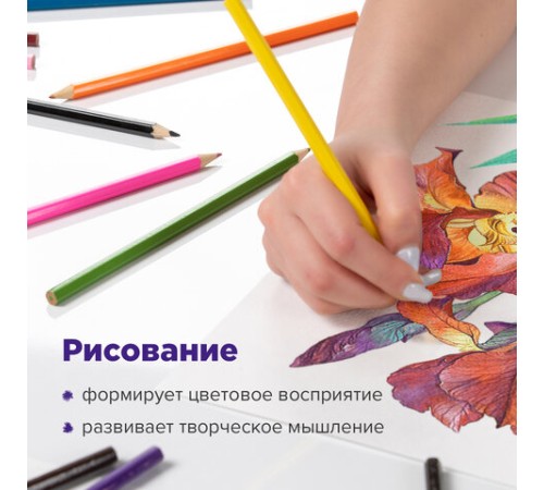 Карандаши цветные акварельные BRAUBERG "АКАДЕМИЯ", 24 цвета, шестигранные, грифель 3 мм, натуральное дерево, 181400 Карандаши цветные акварельные BRAUBERG "АКАДЕМИЯ", 24 цвета, шестигранные, грифель 3 мм, натуральное дерево, 181400
