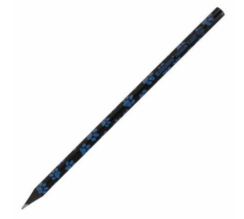Карандаш чернографитный BRAUBERG "PREMIUM TURKEY", 1 шт., "Paws", НВ, ассорти, дисплей, 181566 Карандаш чернографитный BRAUBERG "PREMIUM TURKEY", 1 шт., "Paws", НВ, ассорти, дисплей, 181566