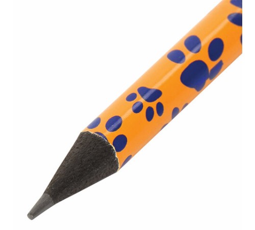 Карандаш чернографитный BRAUBERG "PREMIUM TURKEY", 1 шт., "Paws", НВ, ассорти, дисплей, 181566 Карандаш чернографитный BRAUBERG "PREMIUM TURKEY", 1 шт., "Paws", НВ, ассорти, дисплей, 181566