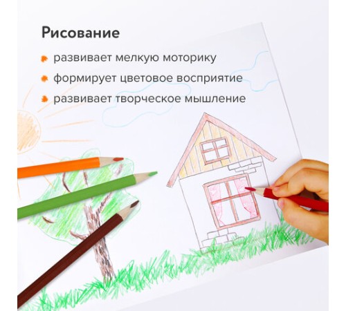 Карандаши цветные ЮНЛАНДИЯ "ТРОПИКИ", 12 цветов, с РАСКРАСКОЙ, трехгранные, грифель 3 мм, натуральное дерево, 181647