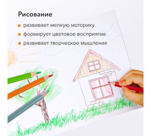 Карандаши цветные BRAUBERG PREMIUM, 36 цветов, трехгранные, грифель 3,3 мм, натуральное дерево, 181654 Карандаши цветные BRAUBERG PREMIUM, 36 цветов, трехгранные, грифель 3,3 мм, натуральное дерево, 181654