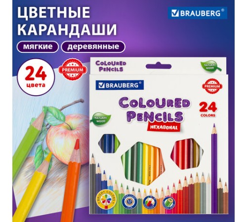 Карандаши цветные BRAUBERG PREMIUM, 24 цвета, шестигранные, грифель 3,3 мм, натуральное дерево, 181658