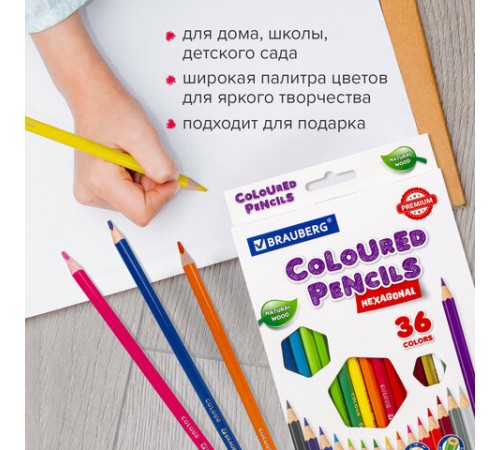 Карандаши цветные BRAUBERG PREMIUM, 36 цветов, шестигранные, грифель 3,3 мм, натуральное дерево, 181659 Карандаши цветные BRAUBERG PREMIUM, 36 цветов, шестигранные, грифель 3,3 мм, натуральное дерево, 181659