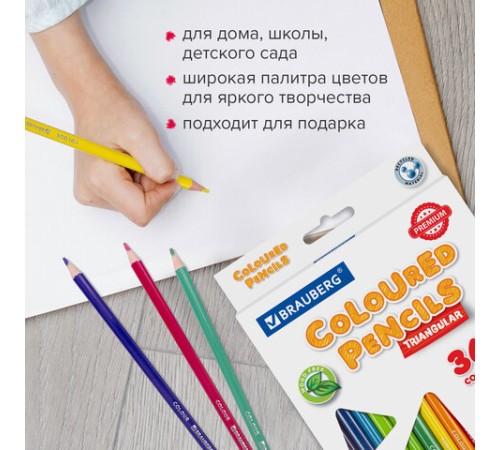 Карандаши цветные BRAUBERG PREMIUM, 36 цветов, трехгранные, грифель 3 мм, 181664 Карандаши цветные BRAUBERG PREMIUM, 36 цветов, трехгранные, грифель 3 мм, 181664