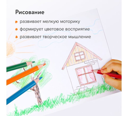 Карандаши цветные BRAUBERG PREMIUM, 12 цветов, шестигранные, грифель 3 мм, 181666 Карандаши цветные BRAUBERG PREMIUM, 12 цветов, шестигранные, грифель 3 мм, 181666