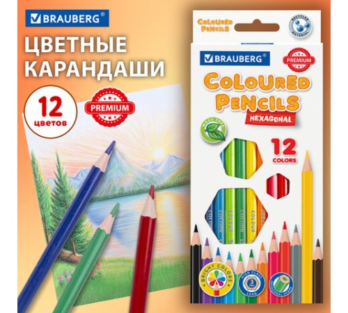Карандаши цветные BRAUBERG PREMIUM, 12 цветов, шестигранные, грифель 3 мм, 181666 Карандаши цветные BRAUBERG PREMIUM, 12 цветов, шестигранные, грифель 3 мм, 181666
