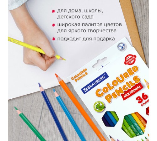 Карандаши цветные BRAUBERG PREMIUM, 36 цветов, шестигранные, грифель 3 мм, 181669
