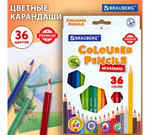 Карандаши цветные BRAUBERG PREMIUM, 36 цветов, шестигранные, грифель 3 мм, 181669