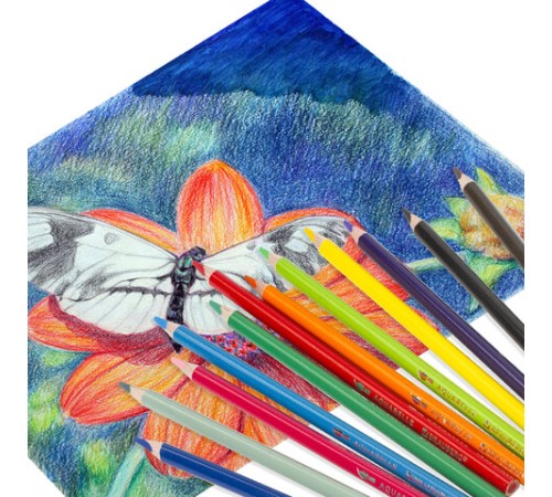 Карандаши цветные акварельные BRAUBERG PREMIUM AQUARELLE, 12 цветов, трехгранные, утолщенный грифель 4 мм, натуральное дерево, 181671 Карандаши цветные акварельные BRAUBERG PREMIUM AQUARELLE, 12 цветов, трехгранные, утолщенный грифель 4 мм, натуральное дерево, 181671