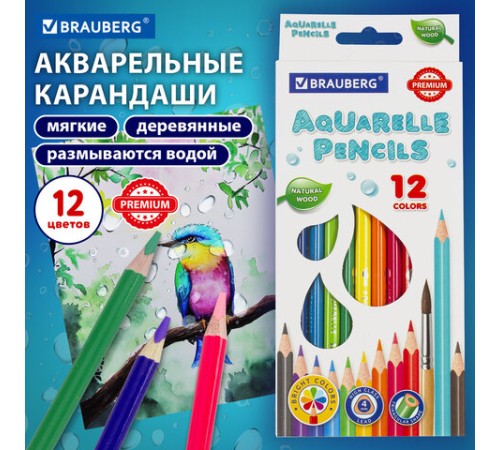Карандаши цветные акварельные BRAUBERG PREMIUM AQUARELLE, 12 цветов, трехгранные, утолщенный грифель 4 мм, натуральное дерево, 181671 Карандаши цветные акварельные BRAUBERG PREMIUM AQUARELLE, 12 цветов, трехгранные, утолщенный грифель 4 мм, натуральное дерево, 181671