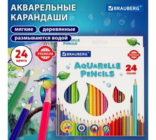 Карандаши цветные акварельные BRAUBERG PREMIUM AQUARELLE, 24 цвета, трехгранные, утолщенный грифель 4 мм, натуральное дерево, 181673 Карандаши цветные акварельные BRAUBERG PREMIUM AQUARELLE, 24 цвета, трехгранные, утолщенный грифель 4 мм, натуральное дерево, 181673