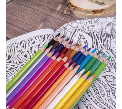 Карандаши цветные акварельные BRAUBERG PREMIUM AQUARELLE, 24 цвета, трехгранные, утолщенный грифель 4 мм, натуральное дерево, 181673 Карандаши цветные акварельные BRAUBERG PREMIUM AQUARELLE, 24 цвета, трехгранные, утолщенный грифель 4 мм, натуральное дерево, 181673