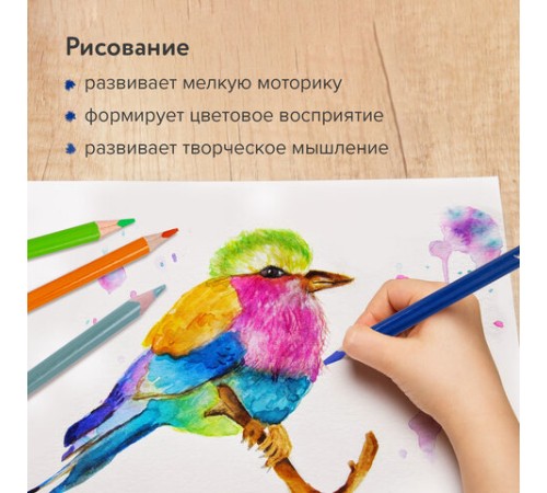 Карандаши цветные акварельные BRAUBERG PREMIUM AQUARELLE, 24 цвета, трехгранные, утолщенный грифель 4 мм, натуральное дерево, 181673 Карандаши цветные акварельные BRAUBERG PREMIUM AQUARELLE, 24 цвета, трехгранные, утолщенный грифель 4 мм, натуральное дерево, 181673