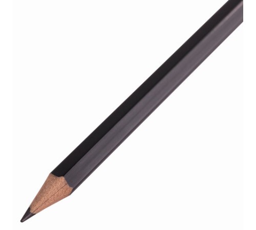 Карандаш чернографитный BRAUBERG "Style", 1 шт., HB, с ластиком, корпус черно-серый, 181717 Карандаш чернографитный BRAUBERG "Style", 1 шт., HB, с ластиком, корпус черно-серый, 181717