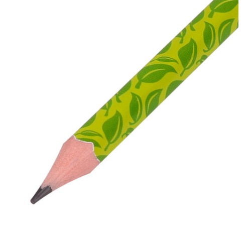 Карандаш чернографитный BRAUBERG "GREEN", 1 шт., HB, с ластиком, пластиковый, ассорти, 181746