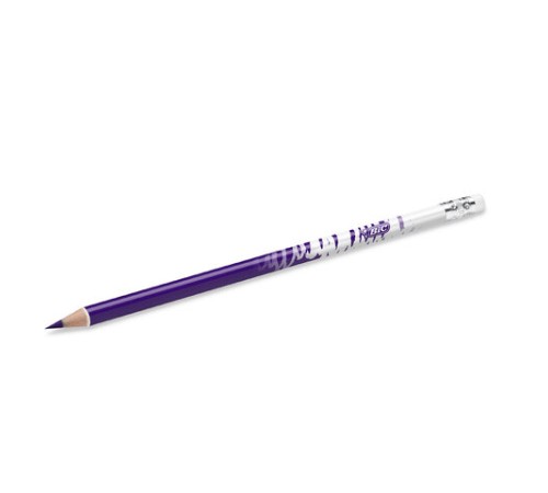 Карандаши цветные стираемые с ластиком BIC "Kids Evolution Illusion", 12 цветов, круглые, 987868