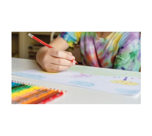 Карандаши цветные стираемые с ластиком BIC "Kids Evolution Illusion", 12 цветов, круглые, 987868