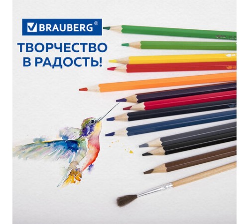 Карандаши цветные акварельные BRAUBERG 12 цветов с КИСТЬЮ, шестигранные, грифель 3 мм, натуральное дерево, 181848 Карандаши цветные акварельные BRAUBERG 12 цветов с КИСТЬЮ, шестигранные, грифель 3 мм, натуральное дерево, 181848