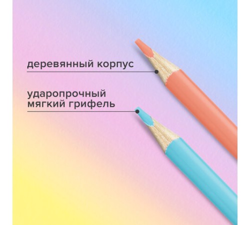 Карандаши цветные BRAUBERG PASTEL, 24 пастельных цвета, трехгранные, грифель 3 мм, натуральное дерево, 181851