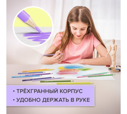 Карандаши цветные BRAUBERG PASTEL, 24 пастельных цвета, трехгранные, грифель 3 мм, натуральное дерево, 181851