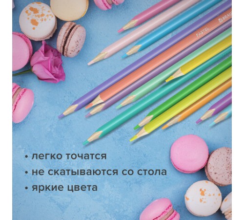 Карандаши цветные BRAUBERG PASTEL, 24 пастельных цвета, трехгранные, грифель 3 мм, натуральное дерево, 181851