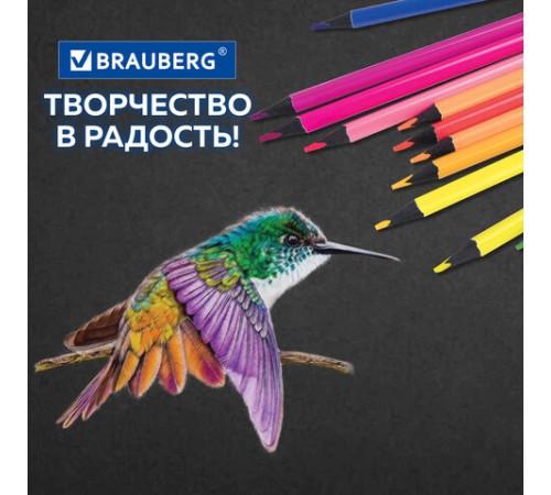 Карандаши цветные BRAUBERG NEON, 12 неоновых цветов, трехгранные, грифель 3 мм, черное дерево, 181852 Карандаши цветные BRAUBERG NEON, 12 неоновых цветов, трехгранные, грифель 3 мм, черное дерево, 181852