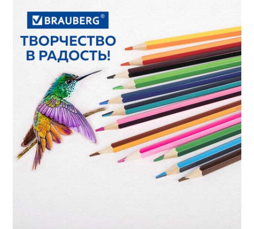 Карандаши с двухцветным грифелем BRAUBERG BICOLOUR, 12 штук, 24 цвета, шестигранные, грифель 3 мм, натуральное дерево, 181855 Карандаши с двухцветным грифелем BRAUBERG BICOLOUR, 12 штук, 24 цвета, шестигранные, грифель 3 мм, натуральное дерево, 181855