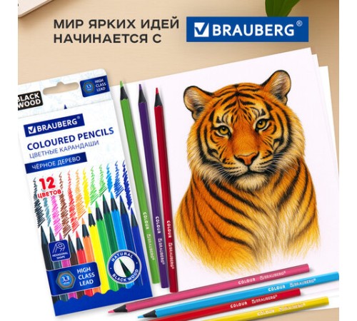 Карандаши цветные BRAUBERG, 12 цветов, шестигранные, грифель 3,3 мм, черное дерево, 181856