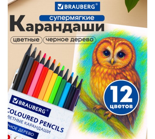 Карандаши цветные BRAUBERG, 12 цветов, шестигранные, грифель 3,3 мм, черное дерево, 181856
