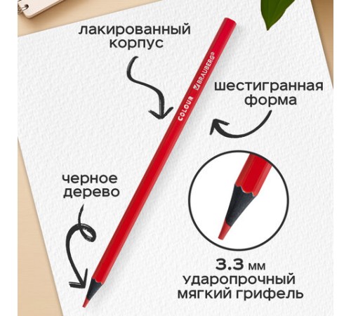 Карандаши цветные BRAUBERG, 12 цветов, шестигранные, грифель 3,3 мм, черное дерево, 181856