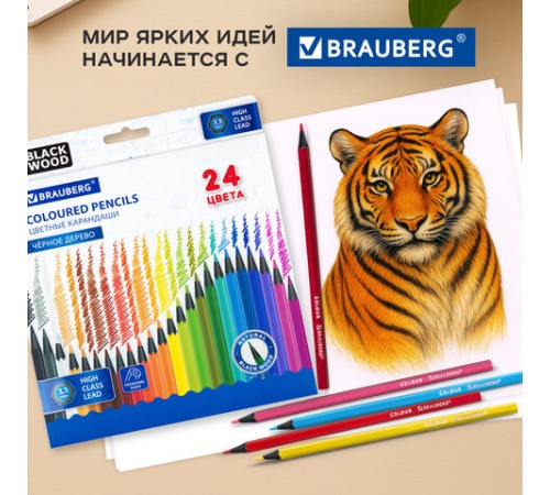 Карандаши цветные BRAUBERG, 24 цвета, шестигранные, грифель 3,3 мм, черное дерево, 181858 Карандаши цветные BRAUBERG, 24 цвета, шестигранные, грифель 3,3 мм, черное дерево, 181858