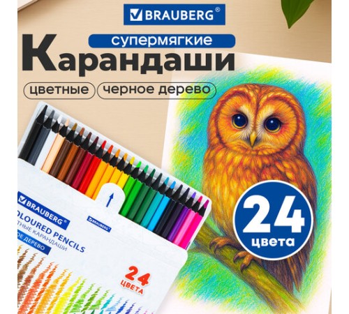 Карандаши цветные BRAUBERG, 24 цвета, шестигранные, грифель 3,3 мм, черное дерево, 181858 Карандаши цветные BRAUBERG, 24 цвета, шестигранные, грифель 3,3 мм, черное дерево, 181858