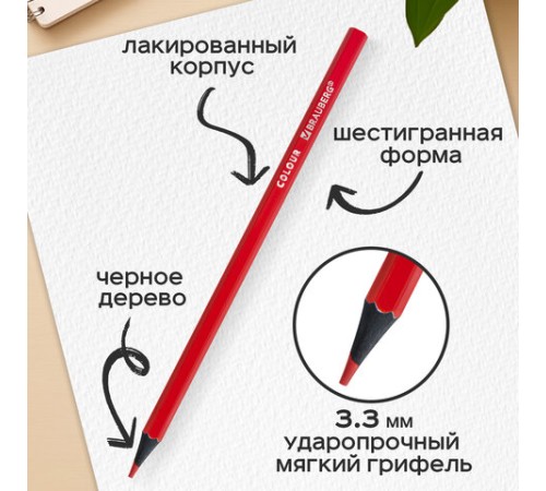 Карандаши цветные BRAUBERG, 24 цвета, шестигранные, грифель 3,3 мм, черное дерево, 181858 Карандаши цветные BRAUBERG, 24 цвета, шестигранные, грифель 3,3 мм, черное дерево, 181858