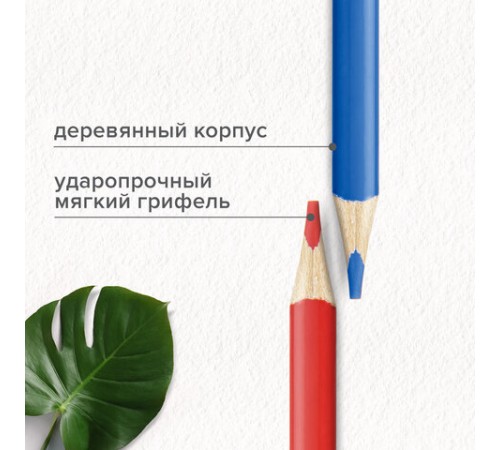 Карандаши цветные супермягкие яркие BRAUBERG MAX, 50 цветов, трехгранные, грифель 3,3 мм, натуральное дерево, 181860 Карандаши цветные супермягкие яркие BRAUBERG MAX, 50 цветов, трехгранные, грифель 3,3 мм, натуральное дерево, 181860