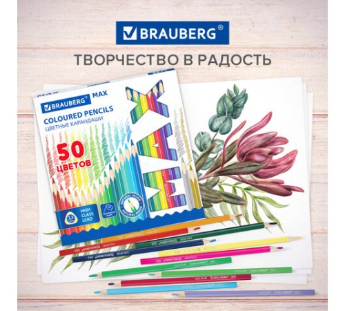 Карандаши цветные супермягкие яркие BRAUBERG MAX, 50 цветов, трехгранные, грифель 3,3 мм, натуральное дерево, 181860 Карандаши цветные супермягкие яркие BRAUBERG MAX, 50 цветов, трехгранные, грифель 3,3 мм, натуральное дерево, 181860