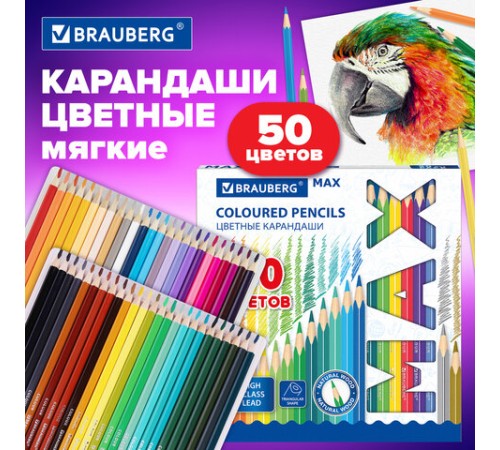 Карандаши цветные супермягкие яркие BRAUBERG MAX, 50 цветов, трехгранные, грифель 3,3 мм, натуральное дерево, 181860 Карандаши цветные супермягкие яркие BRAUBERG MAX, 50 цветов, трехгранные, грифель 3,3 мм, натуральное дерево, 181860