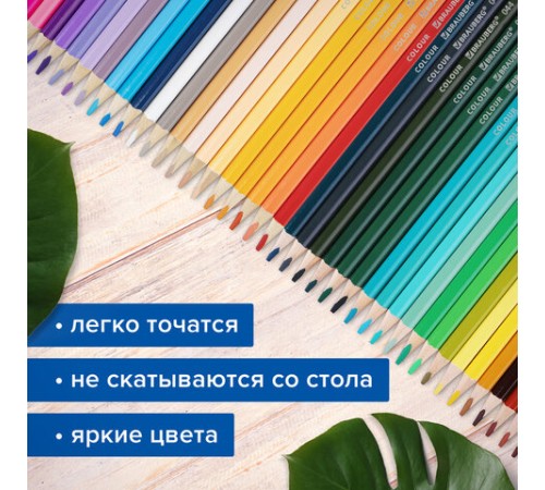 Карандаши цветные супермягкие яркие BRAUBERG MAX, 72 цвета, шестигранные, грифель 3,3 мм, натуральное дерево, 181861 Карандаши цветные супермягкие яркие BRAUBERG MAX, 72 цвета, шестигранные, грифель 3,3 мм, натуральное дерево, 181861