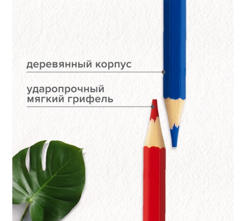 Карандаши цветные супермягкие яркие BRAUBERG MAX, 100 цветов, шестигранные, грифель 3,3 мм, натуральное дерево, 181862