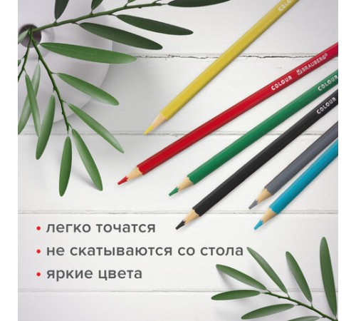 Карандаши цветные мягкие BRAUBERG АКАДЕМИЯ, 6 цветов, шестигранные, грифель 3 мм, натуральное дерево, 181863 Карандаши цветные мягкие BRAUBERG АКАДЕМИЯ, 6 цветов, шестигранные, грифель 3 мм, натуральное дерево, 181863