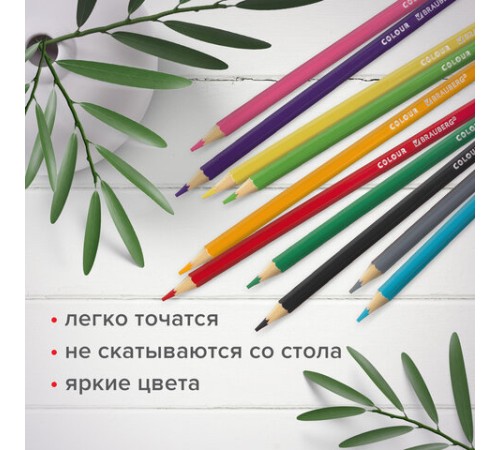 Карандаши цветные мягкие BRAUBERG АКАДЕМИЯ, 18 цветов, шестигранные, грифель 3 мм, натуральное дерево, 181865 Карандаши цветные мягкие BRAUBERG АКАДЕМИЯ, 18 цветов, шестигранные, грифель 3 мм, натуральное дерево, 181865