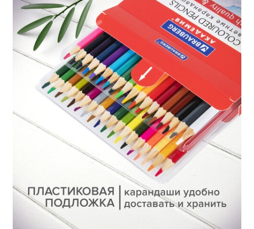 Карандаши цветные мягкие BRAUBERG АКАДЕМИЯ, 36 цветов, шестигранные, грифель 3 мм, натуральное дерево, 181867 Карандаши цветные мягкие BRAUBERG АКАДЕМИЯ, 36 цветов, шестигранные, грифель 3 мм, натуральное дерево, 181867