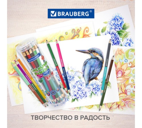 Карандаши цветные двусторонние BRAUBERG PREMIUM TWIN COLOUR, 24 шт., 48 цв., туба, шестигранные, грифель 3,3 мм, натуральное дерево, 181876 Карандаши цветные двусторонние BRAUBERG PREMIUM TWIN COLOUR, 24 шт., 48 цв., туба, шестигранные, грифель 3,3 мм, натуральное дерево, 181876