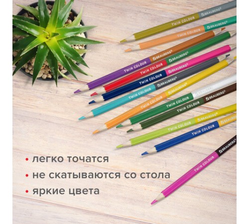Карандаши цветные двусторонние BRAUBERG PREMIUM TWIN COLOUR, 24 шт., 48 цв., туба, шестигранные, грифель 3,3 мм, натуральное дерево, 181876 Карандаши цветные двусторонние BRAUBERG PREMIUM TWIN COLOUR, 24 шт., 48 цв., туба, шестигранные, грифель 3,3 мм, натуральное дерево, 181876