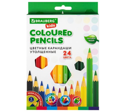Карандаши цветные утолщенные BRAUBERG KIDS, 24 цвета, шестигранные, грифель 5 мм, натуральное дерево, 181879