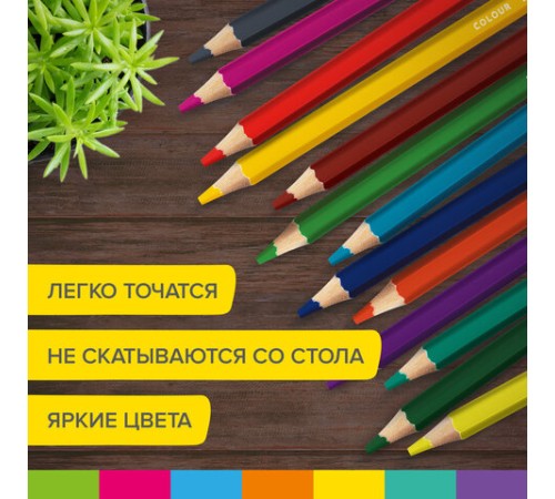 Карандаши цветные утолщенные BRAUBERG KIDS, 24 цвета, шестигранные, грифель 5 мм, натуральное дерево, 181879