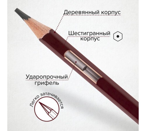 Карандаши чернографитные художественные 4H-8B, НАБОР 12 шт., В ПЕНАЛЕ, BRAUBERG ART "PREMIERE", 181895 Карандаши чернографитные художественные 4H-8B, НАБОР 12 шт., В ПЕНАЛЕ, BRAUBERG ART "PREMIERE", 181895